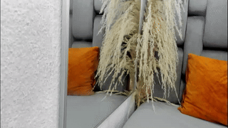 sheababyyy animated gif teaser