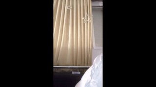 daxe96 animated gif teaser