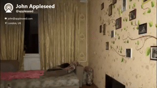 alejo_323__ animated gif teaser