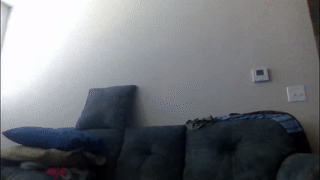 thebestmuscles animated gif teaser