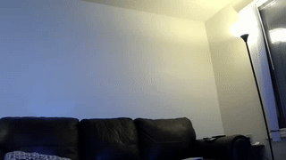 aaron_bang animated gif teaser