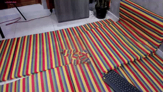ryanshane12 animated gif teaser
