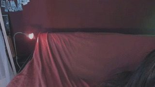 brandywhite animated gif teaser