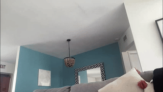 punkypapi animated gif teaser