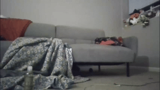 richmondal83 animated gif teaser