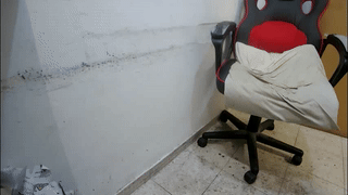 interracial_wallen animated gif teaser