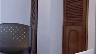 docwanker animated gif teaser