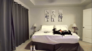 swtty_meivi animated gif teaser