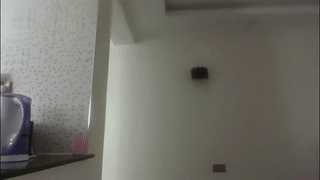 berrryjelly animated gif teaser