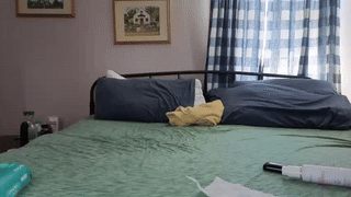 yonata874277 animated gif teaser
