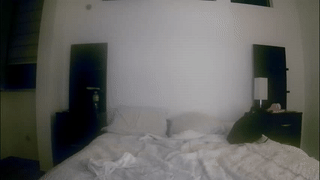 julcy_peach animated gif teaser
