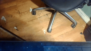 yp05 animated gif teaser