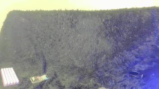 ceriselapine animated gif teaser