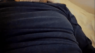 1molylepke animated gif teaser