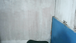 lissa_wayne animated gif teaser