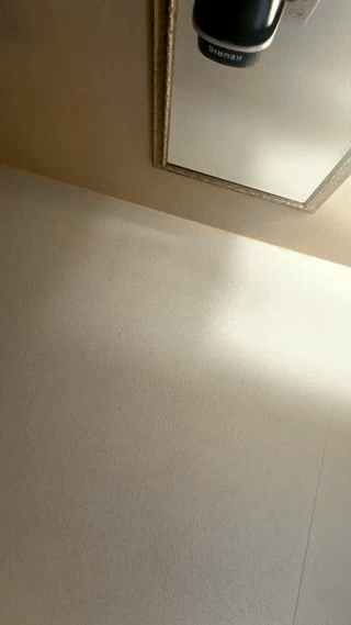 angelinahass animated gif teaser