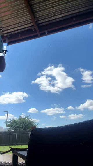 eric_harrison1 animated gif teaser