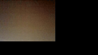 max_dic1 animated gif teaser