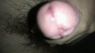 pokerfffface79 animated gif teaser