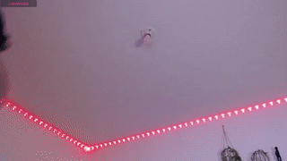 lucasanto_ animated gif teaser