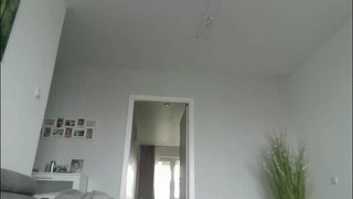 oliver_star_boy animated gif teaser
