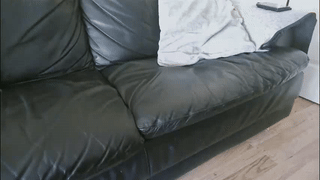 andrew_courtz animated gif teaser