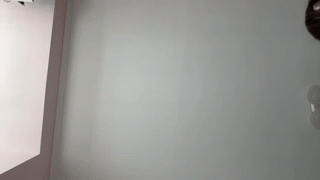breeding_material animated gif teaser