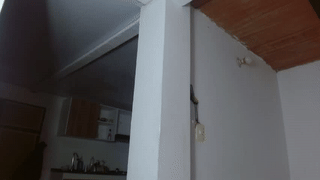 serene_sophiex animated gif teaser