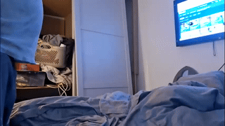 marcoalexlatino animated gif teaser