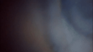 xiaobrunscheen animated gif teaser