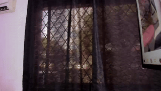 naomigarcia animated gif teaser