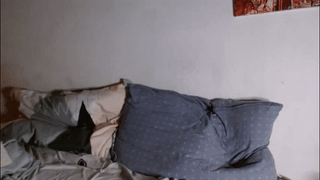 dan137111 animated gif teaser