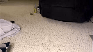 mrsexalot69 animated gif teaser