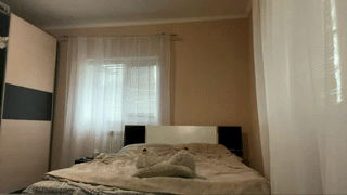 translustybabe animated gif teaser