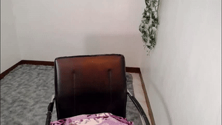 oke_doke animated gif teaser