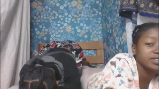 fideliastagnitto animated gif teaser