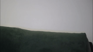massimo_visconti animated gif teaser
