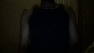 saulgoode69 animated gif teaser