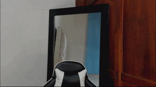 sebhastian2222 animated gif teaser