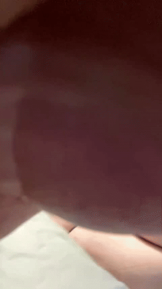 julian_turner animated gif teaser