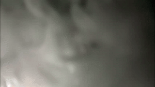 zjerkinhoff animated gif teaser