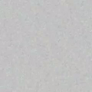 chasidygrandmaison animated gif teaser