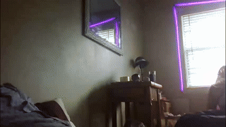 sophisticated_seline animated gif teaser