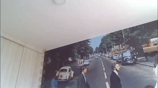 curvedcollege animated gif teaser