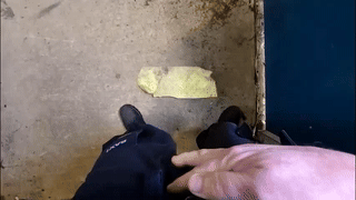 angelm888 animated gif teaser