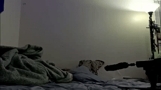 esteban_fer animated gif teaser