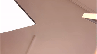 loverosella animated gif teaser