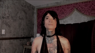 pixy_20 animated gif teaser