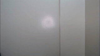 bellidream animated gif teaser