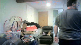 kevinonly43 animated gif teaser